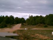 Otoo en pinares de Quintanas de Gormaz. Gormaz, Soria